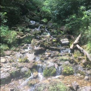 Meet your Posher, Delaney